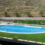 Jilguero Sunny * Palm-mar